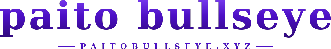paito bullseye logo